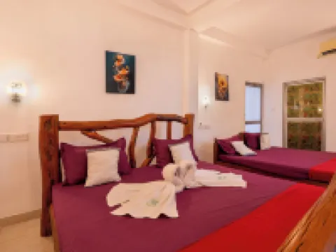 Ayurvedic Lanka Wellness Hotel Hotels in Habarana