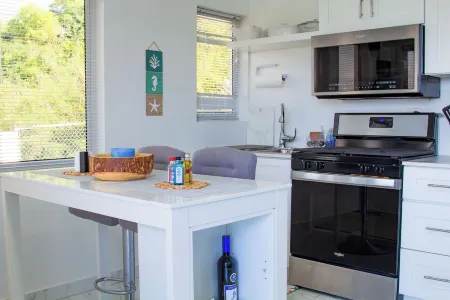 Charming 1-bedroom apartment with WiFi, AC in brilliant Osbourn-Fitches Creek