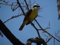 Nalia x1f343; Hotel Baliyana Lodge in the x1f49a; of nature.