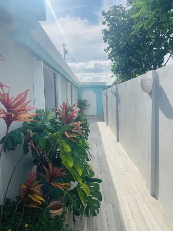 Easy location, Ocean view, Jeep Available, Solar, Battery Power, Strong Wifi