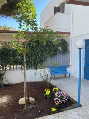 Blue house 500m from the beach of Porto Cesareo