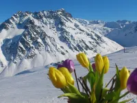 NEW, EXCLUSIVE, COZY apartment !!!! Hotels in Sankt Gallenkirch