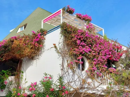 Beach penthouse, with 2 rooftop bars, 2 outdoor kitchens, Fiber WiFi + sea view!