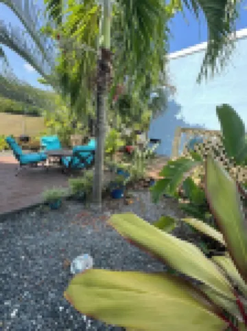 Island time on Sapphire Beach- Paradise!