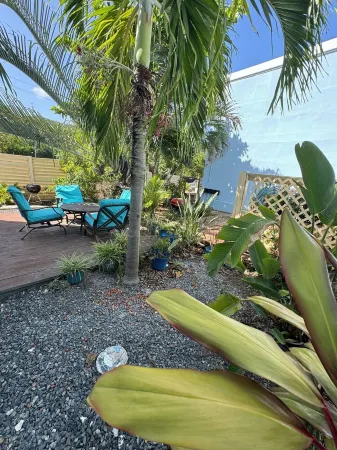 Island time on Sapphire Beach- Paradise! Отели рядом с достопримечательностью «Terminal 1 of Cyril E. King Airport»