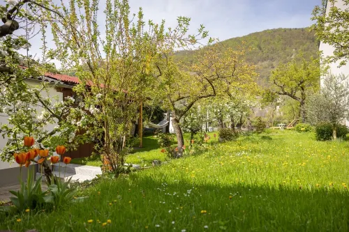 Historic winegrower's house in the Wachau wine region on the Danube with pool & sauna