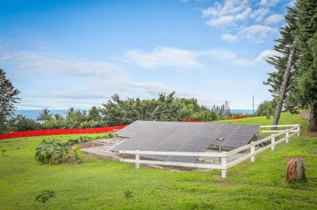 Luxury 3 Bed 2 bath apart Coffee Farm