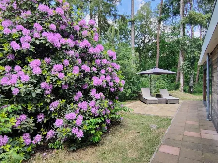 Child-friendly bungalow in the forest, near a beautiful swimming lake