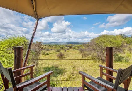 Tarangire Kuro Treetop Lodge Отели в г. Babati