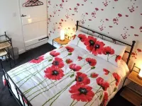 Hendre Aled Farmhouse โรงแรมใน