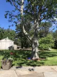 Sunny open house. Lrg Deck. Lndscpd 1 acre lot w stone patio. - ブティック