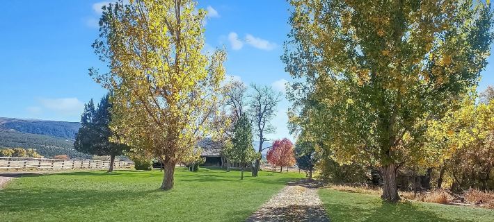 Timeless Mesa Hideaway 2 Bedroom Cabin Hotels in Mesa County