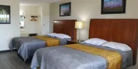 Budget Inn- Greenville - Habitación Doble, 2 Camas Dobles