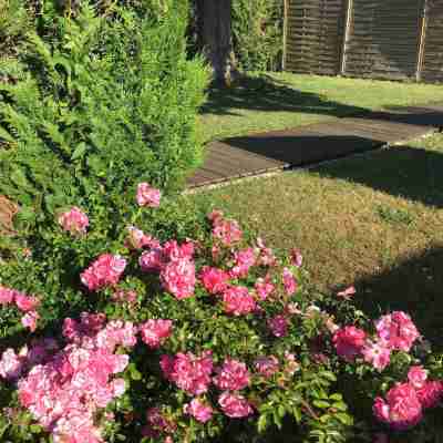 Brit Hotel Europ Bergerac Hotel Exterior