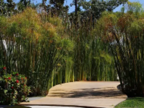 El Laurel Hotel Boutique Hotels in Xochitepec