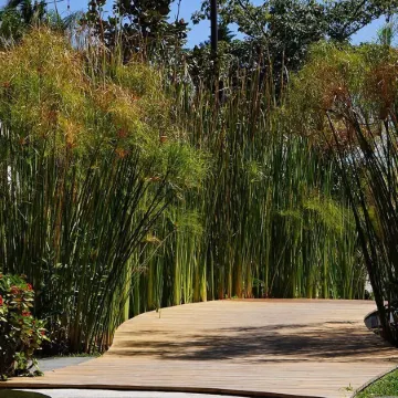 El Laurel Hotel Boutique