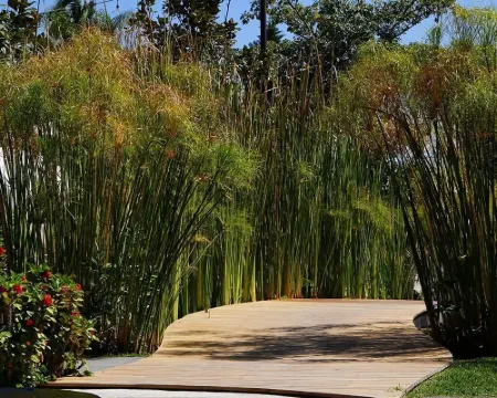 El Laurel Hotel Boutique Hoteles en Xochitepec