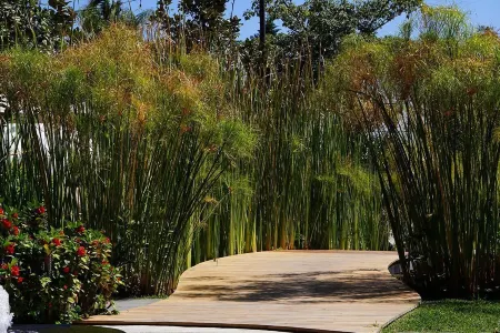 El Laurel Hotel Boutique