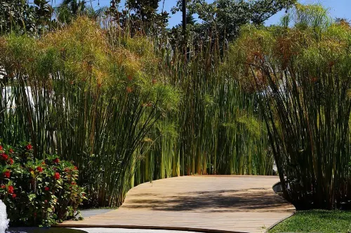 El Laurel Hotel Boutique