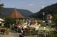 Hotel Bergfrieden Hotels in Bad Wildbad