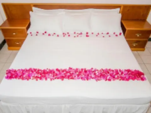 Caribbean Inn and Suites Hotels in St. John's