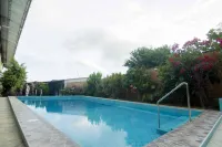 Posada Lodge - Ramah Hewan Peliharaan