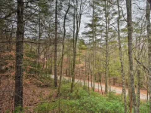 Modern Cabin w/ Deck in the Blue Ridge Mountains! Hotels in Union County