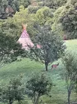 Tipi Tranquility-Glamping at it's best