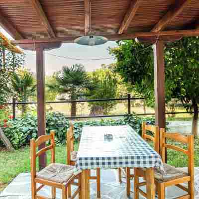 Melissa Gold Coast Hotel Exterior