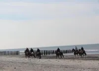 Studio in Domburg Near Beach and Golf - Beach