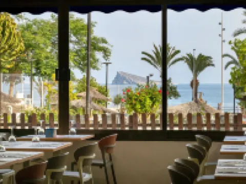 Hotel Poseidon Playa Hotels in Benidorm