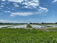 Farm and Lake: Remote Getaway