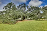 Thomasville Cottage Near the Big Oak and Downtown! - 3-نجوم