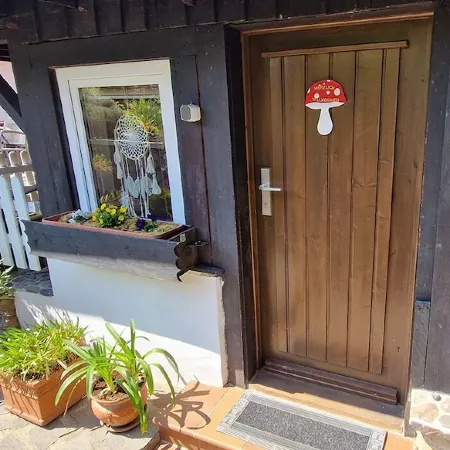 Ferienwohnung Fliegenpilz - 50m² OG1