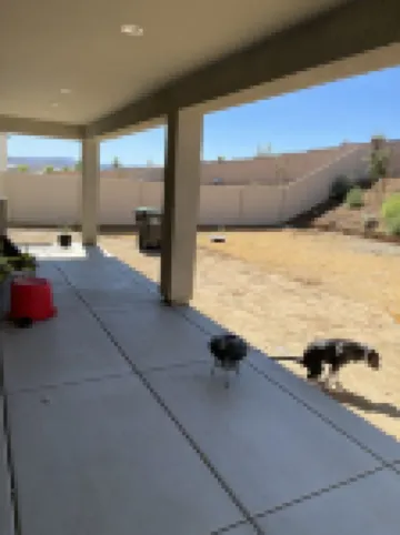 20 Minutes from Pechanga Casino Menifee, CA. 6 bedrooms 5 bathroom House