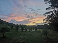 Blueberry Farm Views & Vineyards Nearby