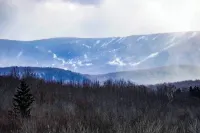 Charming 2-bedroom house  with WiFi outside Fleischmanns, NY Hotels in Halcott