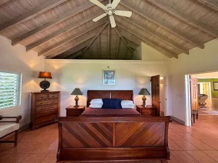 Porvorose Beautiful Sea View Hillside 3-bedroom home Pool, AC, WiFi,  Falmouth.