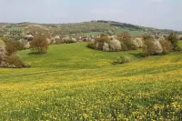 Wendel Living - cozy and modern, ideal for families and friends Hotels in Sankt Wendel