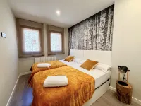 Villa Aneto - Modern comfort in the heart of Benasque