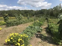 Brand-New House on 130 Acre Farm