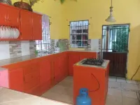 The Cherry Blossom House