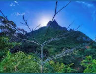 Sahdev Gohin Villa Mauritius