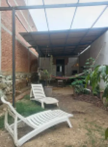 Iguana Coliving
