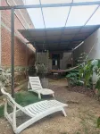 Iguana Coliving