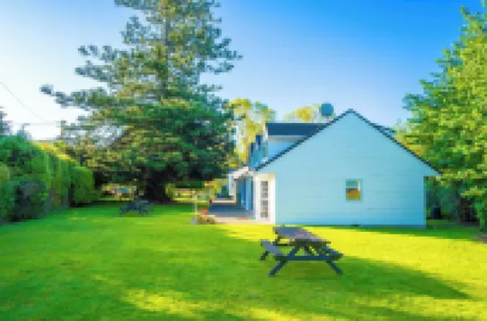 Bucket Tree Lodge Hotels in 