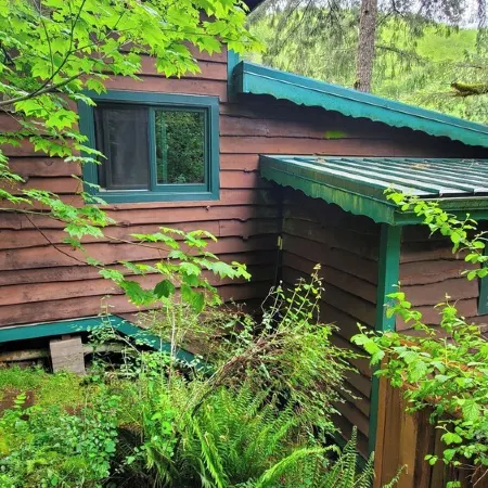 Welch Cabin <A License to Chill>                ~we LOVE dogs~