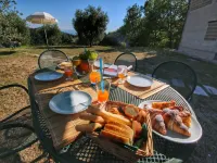 Holiday home with pool near Assisi