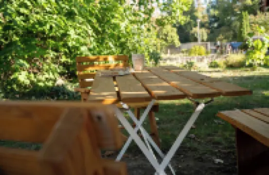 In the Center of Quedlinburg, Quiet and with a View of the Garden and Parking Space