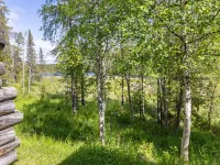 Kelojärvi